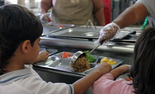 La demanda de los vegetales en los comedores escolares la suplen agricultores del sur.