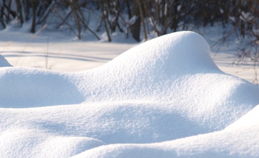 Nieve