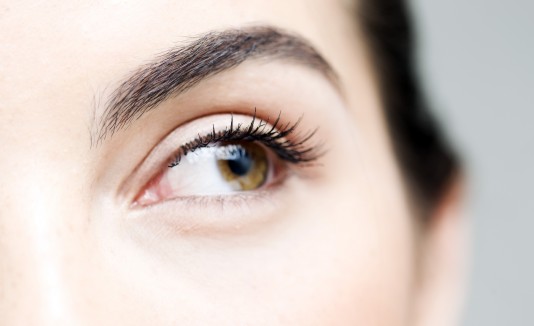 cejas