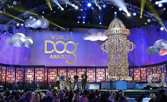 Dogs Awards