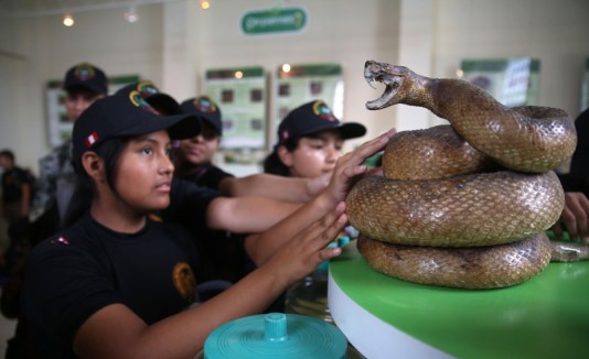 Serpiente