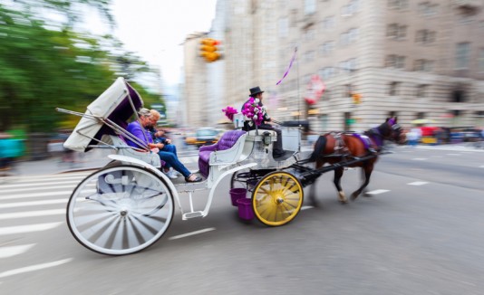 Caballos