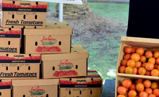 Tomates del país