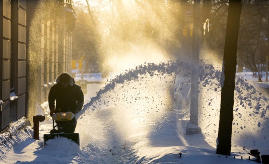 Nieve