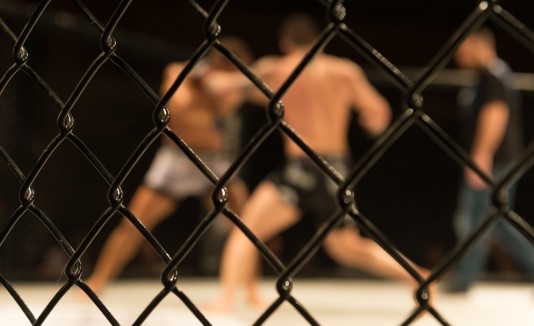 MMA, Mixed Martial Arts