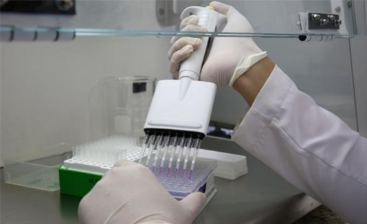 Zika