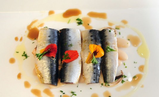 Sardinas
