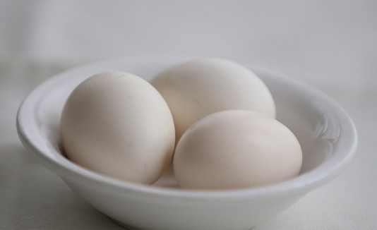 Huevos