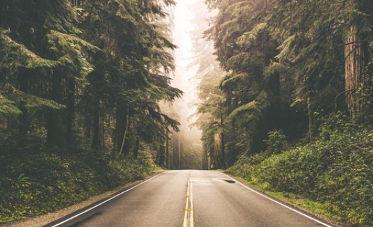 Camino