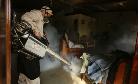 Zika