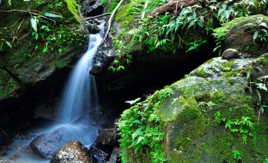 Yunque