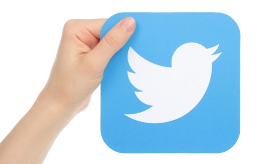 Twitter, Logo, Red social