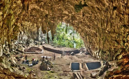 Hobbits, Indonesia, Restos, Antropología