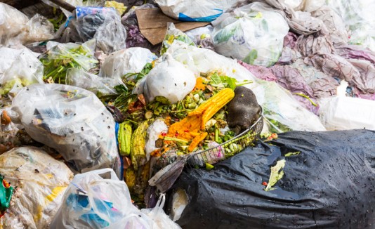 Comida en basura