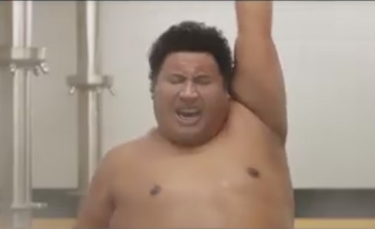 The Rock, Dwayne Johnson, One and a Half Spy