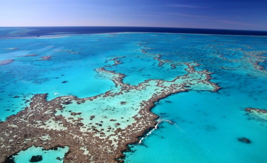 Gran Barrera de Coral