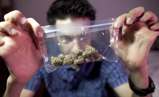 Marihuana medicinal