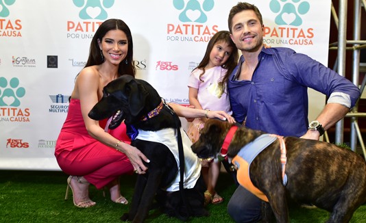Roselyn Sánchez, Patitas por una causa, Adopción, Animales