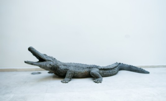 Escultura