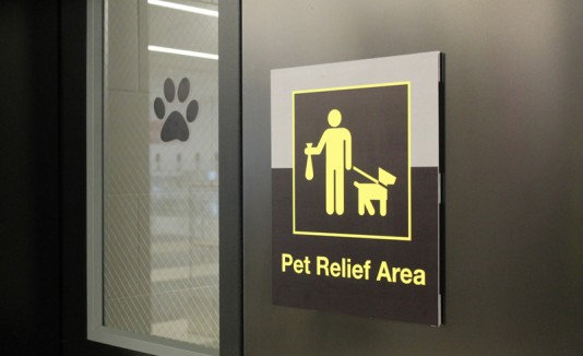 Baño para mascotas en JFK.