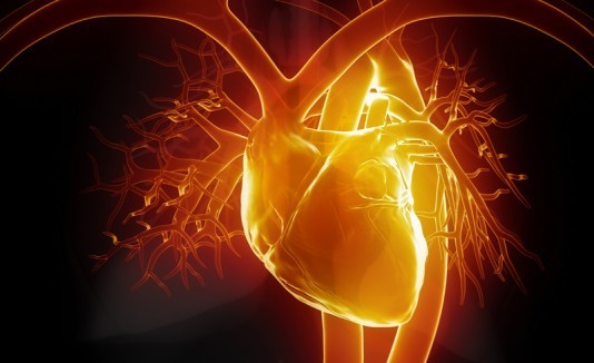 Corazón