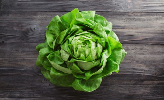 Lechuga