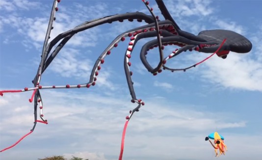 El pulpo volador