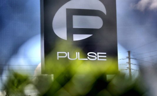 Pulse