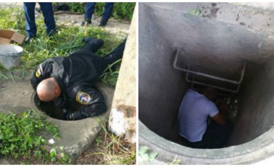 Policía rescata perros