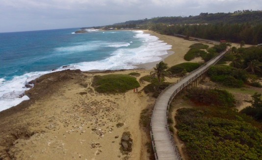Paseo lineal de Isabela