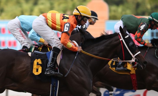 El juez federal Daniel Domínguez extendió fecha del interdico temporarero del hipódromo Camarero en Canóvanas.