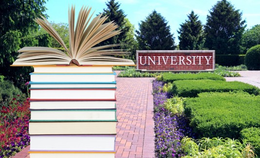 Universidad y libros