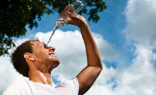 Calor
