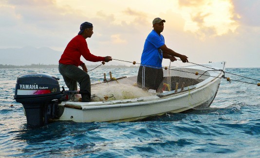 Afiliados a la Cooperativa de Pescadores y Desarrollo Comunitario de las Croabas de Fajardo piden que le quiten la titularidad de los terrenos al municipio.