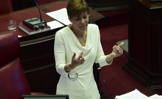 María de Lourdes Santiago