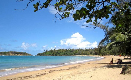 Playa Vega Alta