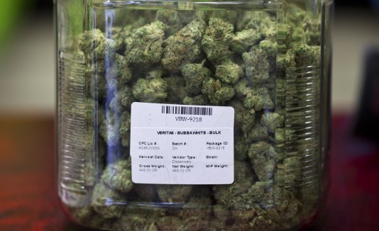 Marihuana Medicinal