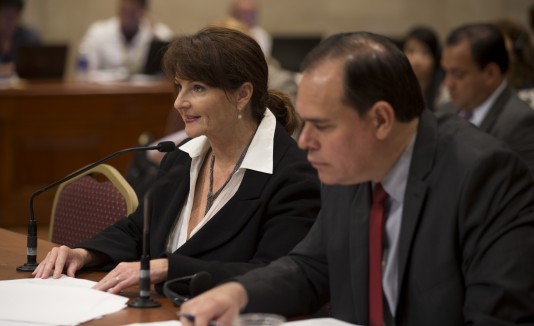 Lisa Donahue