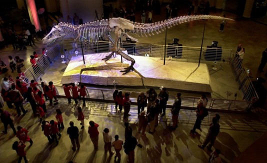 Tiranosaurio Rex