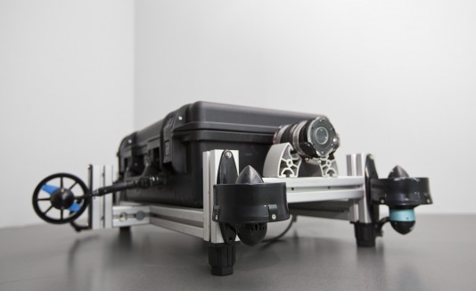 RUMarino