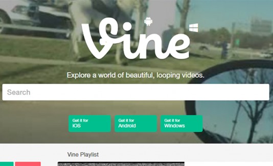 Vine