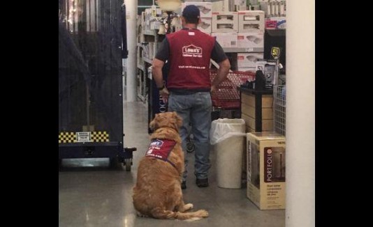 Lowe's