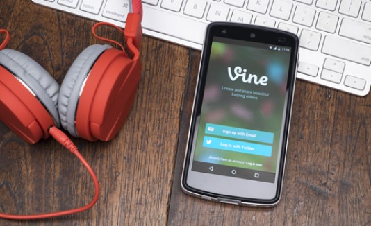 Vine