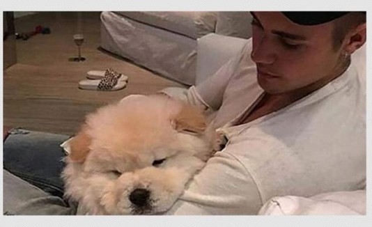 Justin Bieber y su perro Todd