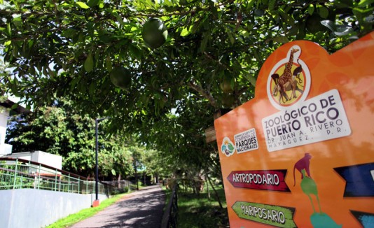 Zoológico de Puerto Rico