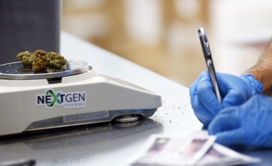 Marihuana medicinal