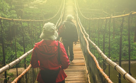 Caminando, puente, excursión