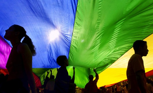 Bandera gay carpa