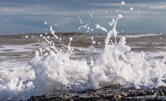 Olas