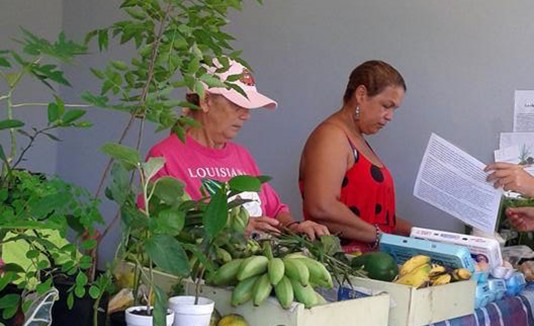 Feria Agrícola en Luquillo